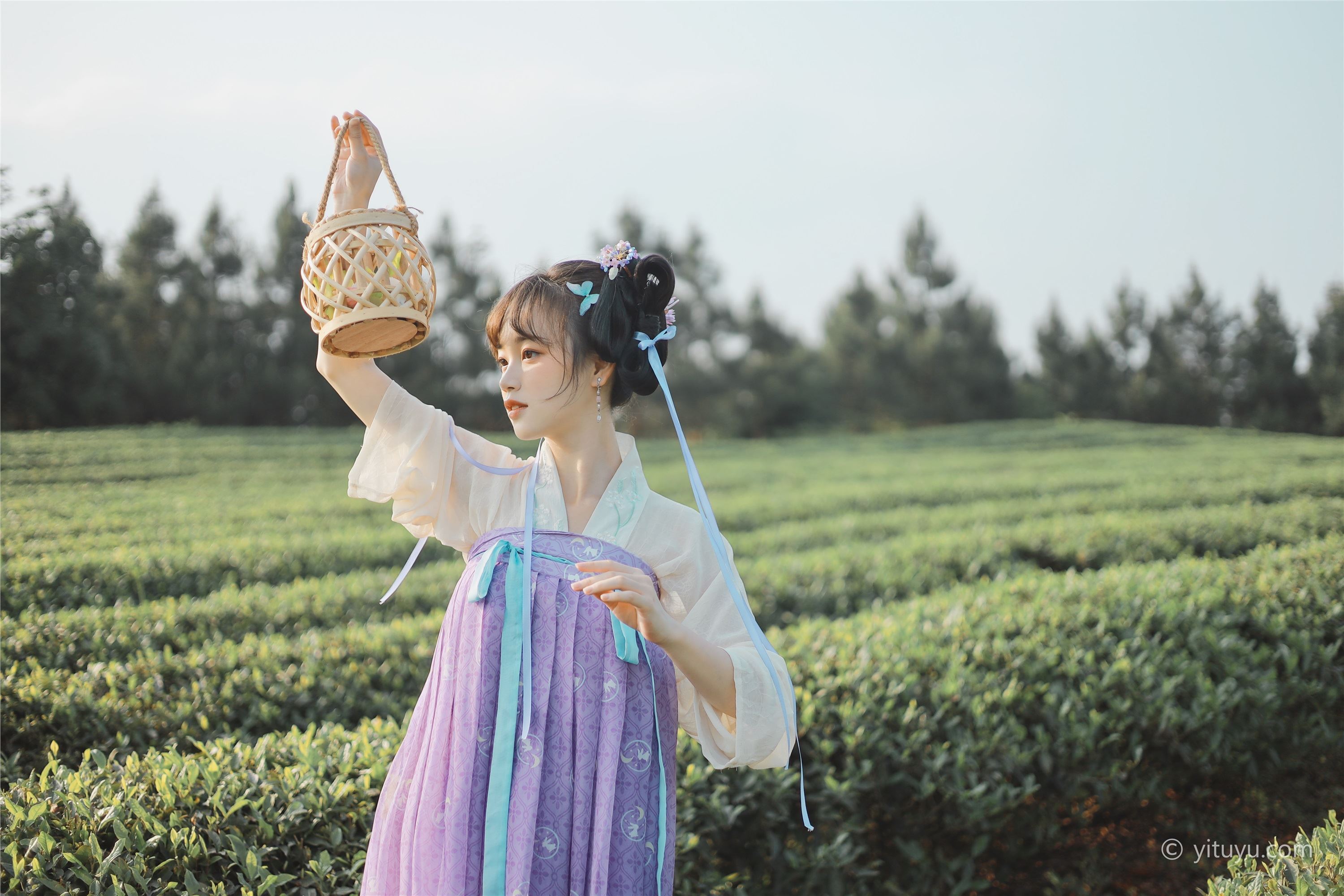 YITUYU艺图语  2021.06.02 青青白茶 柚子